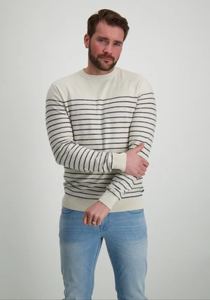 Petrol Men Knitwear Round Neck Basic M-1050-KWR201