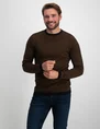 Petrol Men Knitwear Round Neck Basic M-3030-KWR238