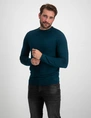 Petrol Men Knitwear Round Neck Basic M-3030-KWR269