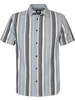 Petrol Men Shirt Short Sleeve AOP M-1050-SIS442