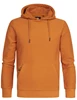 Petrol Men Sweater Hooded M-3030-SWH325