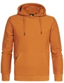 Petrol Men Sweater Hooded M-3030-SWH325