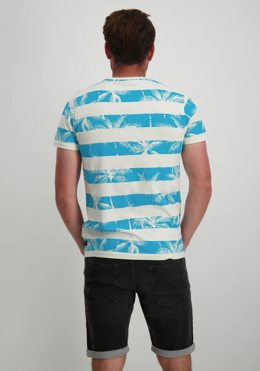 Petrol Men T-Shirt SS AOP M-1040-TSR173