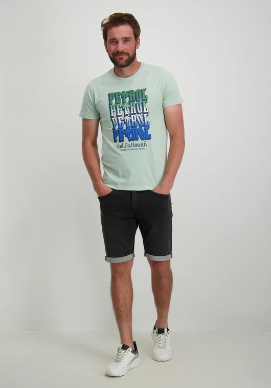 Petrol Men T-Shirt SS Classic Print M-1040-TSR666