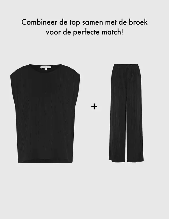 Tramontana Crinkled Wide-Leg Trousers S01-16-101