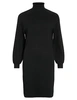 Vila VIOSTRIA ROLL NECK L/S KNIT DRESS - 14094192