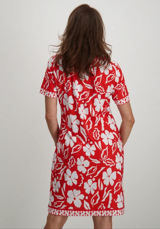 zoso Print dress 243Quincy