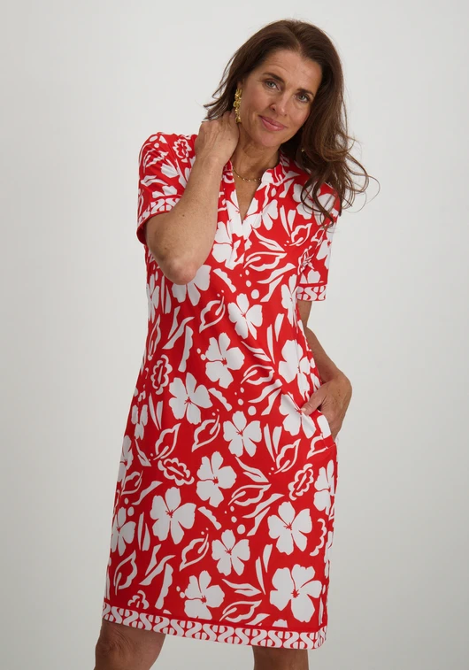 zoso Print dress 243Quincy