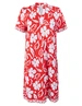zoso Print dress 243Quincy