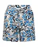 zoso Print travel short 242Jennifer